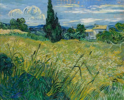 Grano verde, 1889 da Vincent van Gogh